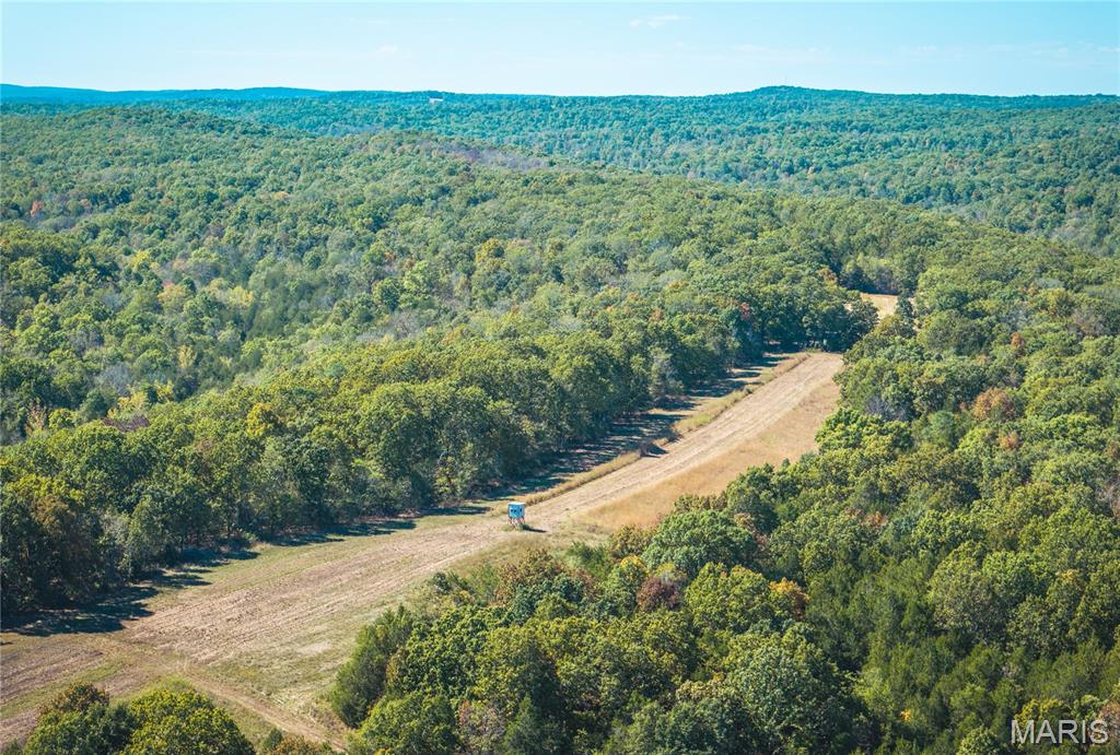 0 Clear Creek Road Richwoods, MO 63071 - Photo 13 of 81