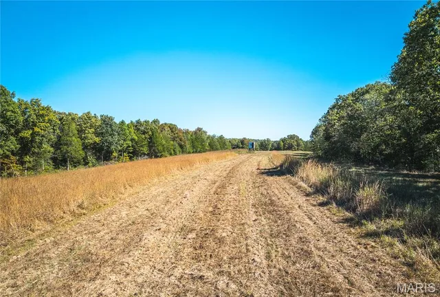 $1,200,000 | 0 Clear Creek Road, Richwoods, MO 63071