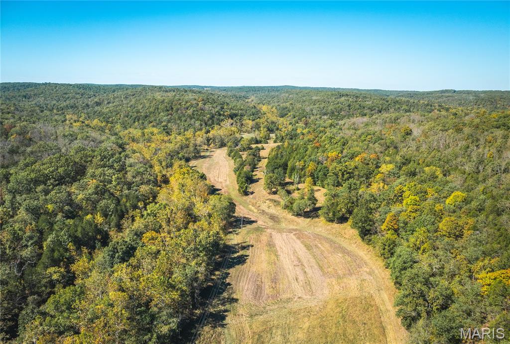 0 Clear Creek Road Richwoods, MO 63071 - Photo 2 of 81