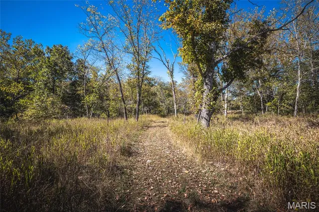 $1,200,000 | 0 Clear Creek Road, Richwoods, MO 63071