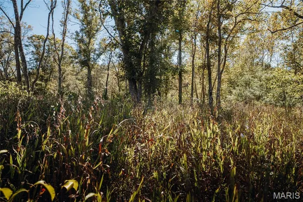 $1,000,000 | 0 Clear Creek Road, Richwoods, MO 63071