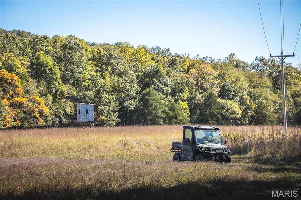 0 Clear Creek Road Richwoods, MO 63071 - Photo 31 of 81