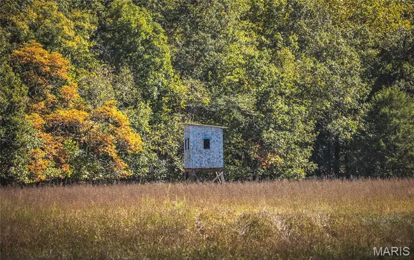 $1,000,000 | 0 Clear Creek Road, Richwoods, MO 63071