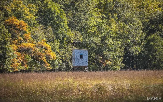 $1,200,000 | 0 Clear Creek Road, Richwoods, MO 63071