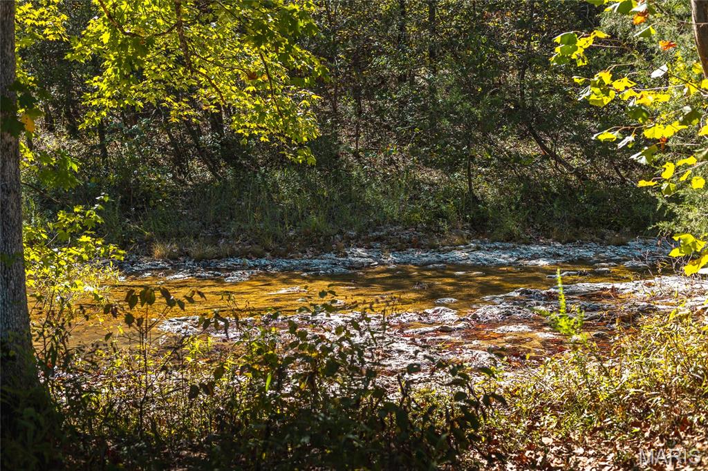 0 Clear Creek Road Richwoods, MO 63071 - Photo 38 of 81