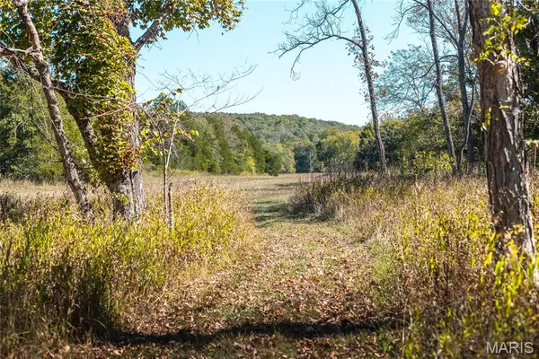 $1,000,000 | 0 Clear Creek Road, Richwoods, MO 63071