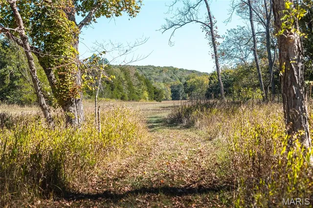 $1,200,000 | 0 Clear Creek Road, Richwoods, MO 63071