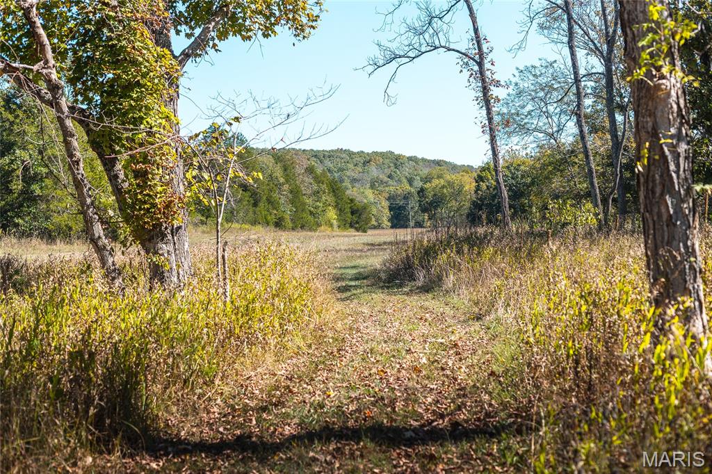 0 Clear Creek Road Richwoods, MO 63071 - Photo 39 of 81