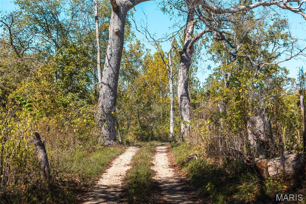 0 Clear Creek Road Richwoods, MO 63071 - Photo 40 of 81