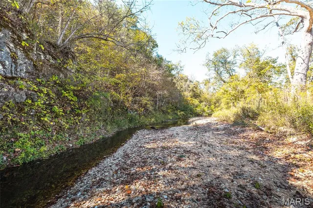$1,200,000 | 0 Clear Creek Road, Richwoods, MO 63071