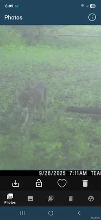 $1,000,000 | 0 Clear Creek Road, Richwoods, MO 63071