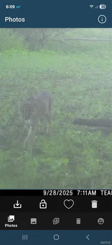 $1,200,000 | 0 Clear Creek Road, Richwoods, MO 63071