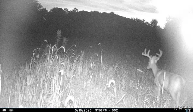 $1,200,000 | 0 Clear Creek Road, Richwoods, MO 63071