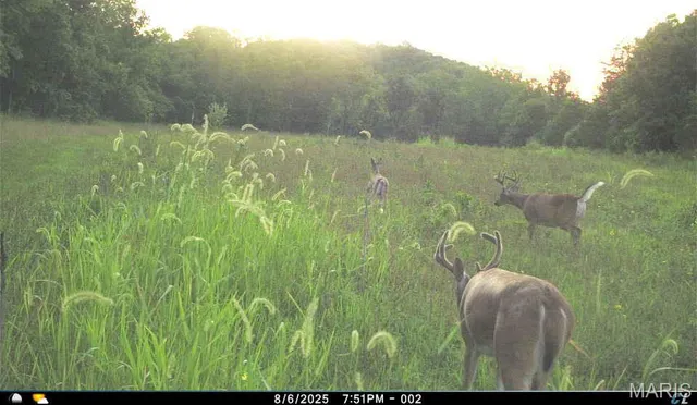 $1,200,000 | 0 Clear Creek Road, Richwoods, MO 63071