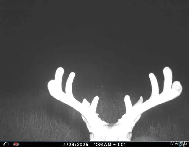 $1,200,000 | 0 Clear Creek Road, Richwoods, MO 63071