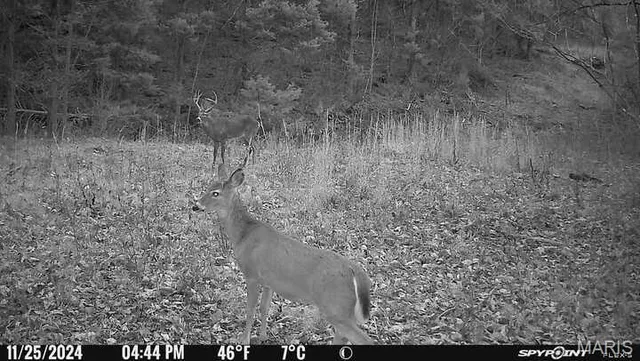 $1,200,000 | 0 Clear Creek Road, Richwoods, MO 63071