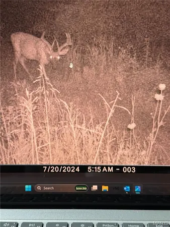 $1,000,000 | 0 Clear Creek Road, Richwoods, MO 63071