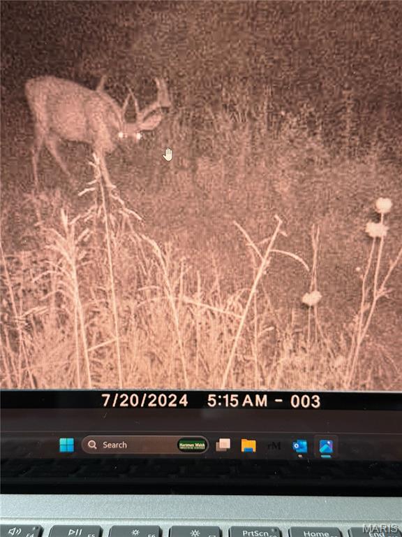 0 Clear Creek Road Richwoods, MO 63071 - Photo 65 of 81