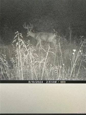 $1,000,000 | 0 Clear Creek Road, Richwoods, MO 63071