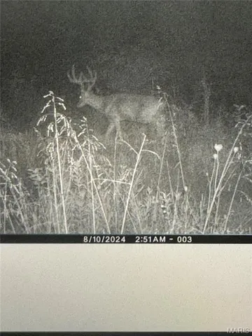 $1,200,000 | 0 Clear Creek Road, Richwoods, MO 63071