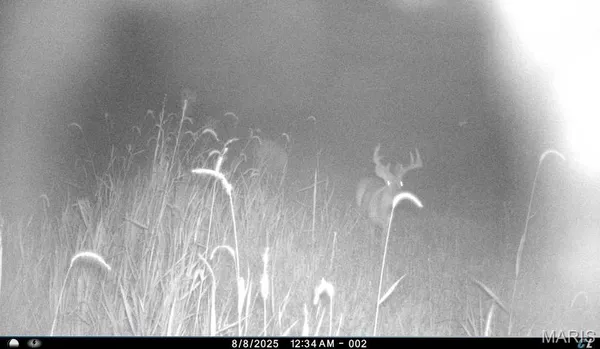 $1,000,000 | 0 Clear Creek Road, Richwoods, MO 63071