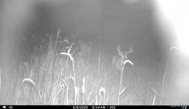 $1,200,000 | 0 Clear Creek Road, Richwoods, MO 63071