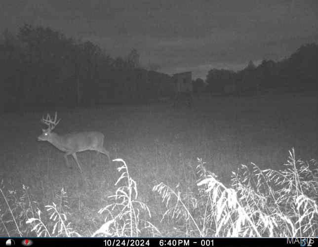 0 Clear Creek Road Richwoods, MO 63071 - Photo 68 of 81