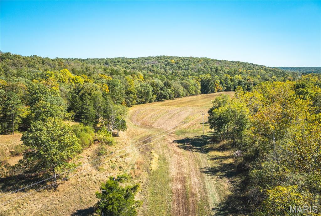 0 Clear Creek Road Richwoods, MO 63071 - Photo 7 of 81