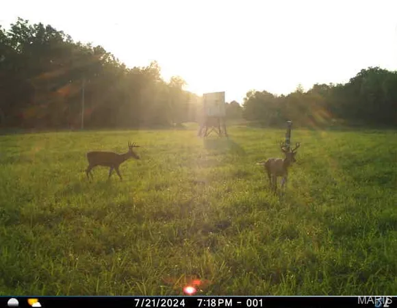 $1,000,000 | 0 Clear Creek Road, Richwoods, MO 63071