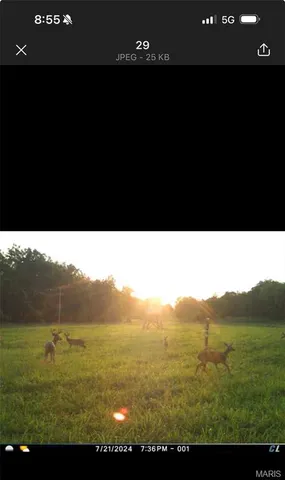 $1,200,000 | 0 Clear Creek Road, Richwoods, MO 63071