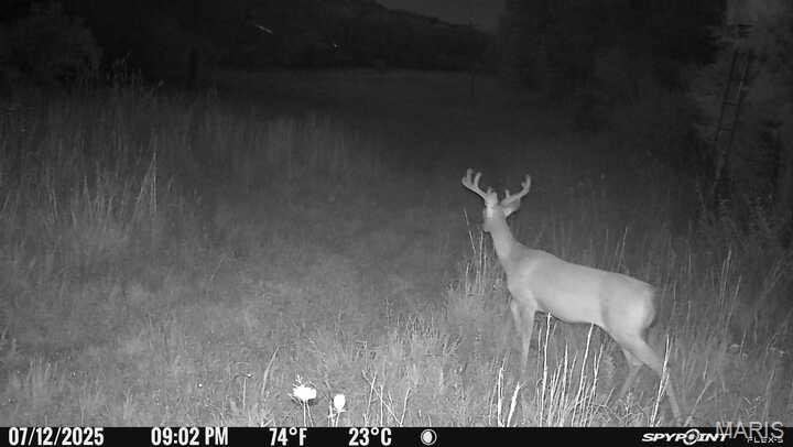 0 Clear Creek Road Richwoods, MO 63071 - Photo 74 of 81