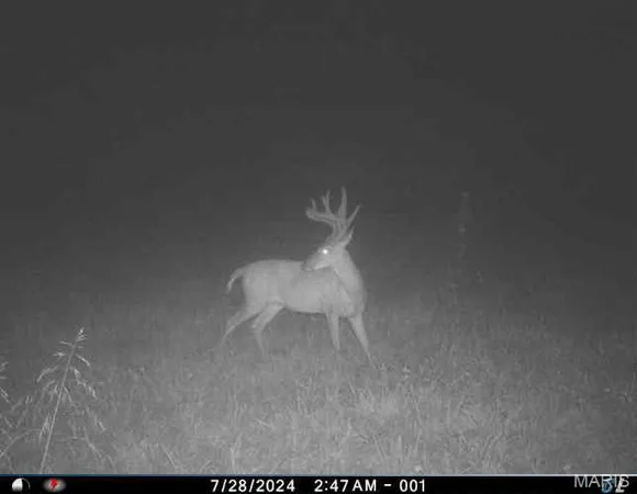 $1,000,000 | 0 Clear Creek Road, Richwoods, MO 63071