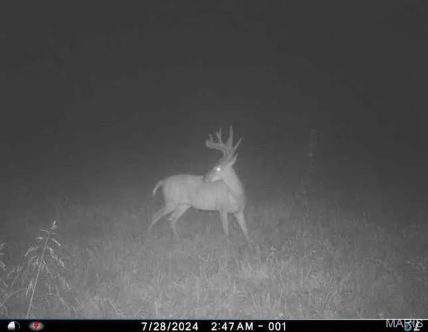 $1,200,000 | 0 Clear Creek Road, Richwoods, MO 63071