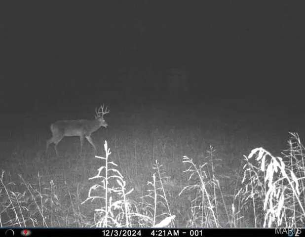 $1,200,000 | 0 Clear Creek Road, Richwoods, MO 63071