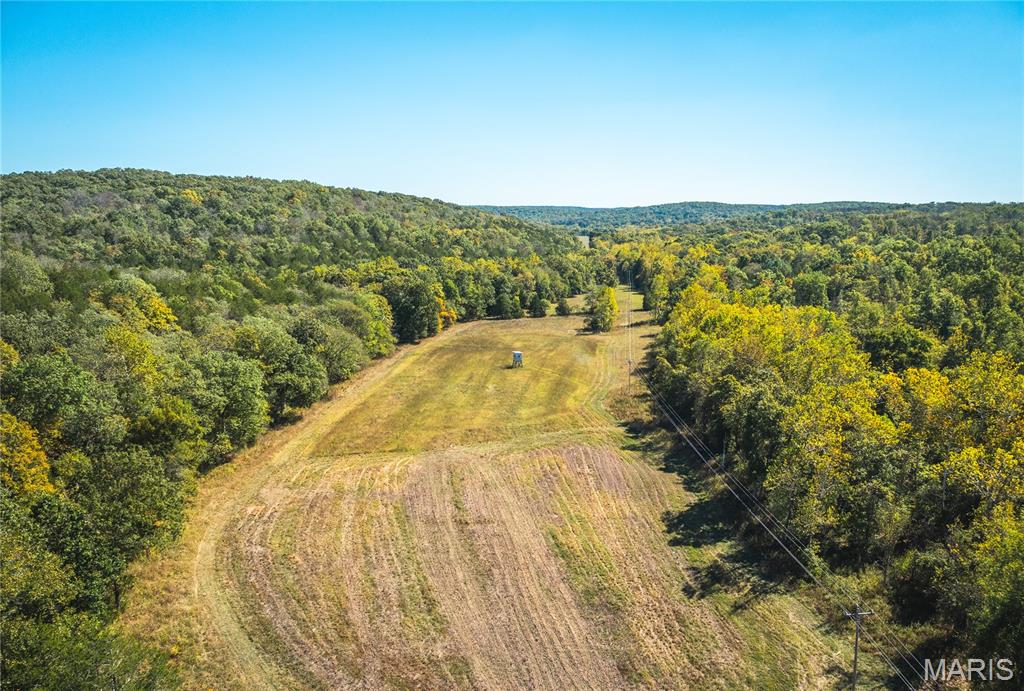 0 Clear Creek Road Richwoods, MO 63071 - Photo 8 of 81