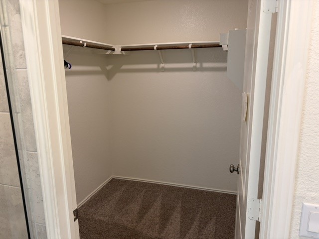 6917 Colorado Bluffs Road Austin, TX 78744 - Photo 9 of 19 a view of closet