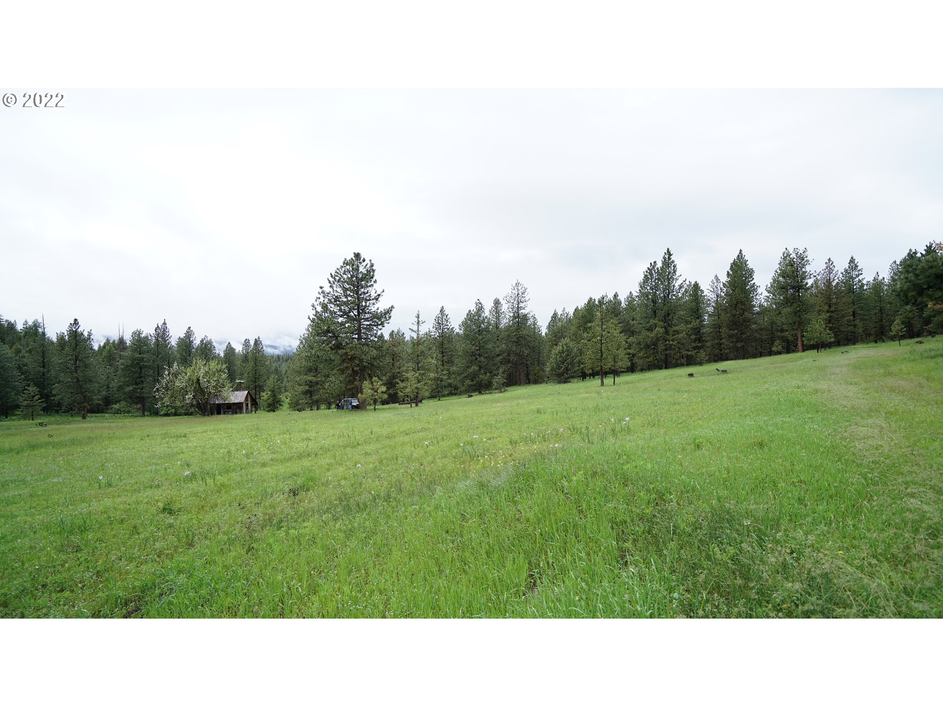 214 Forest Road Bates, OR 97817 - Photo 1 of 31 Gallery Image 1