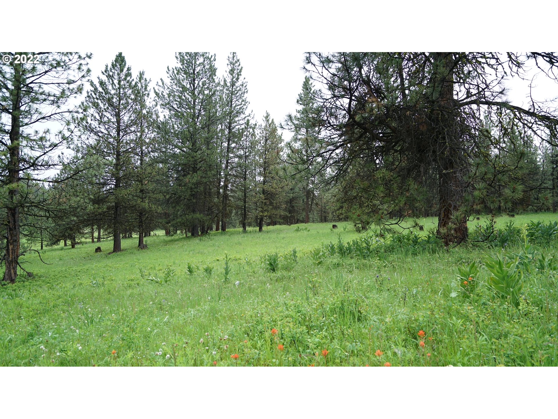 214 Forest Road Bates, OR 97817 - Photo 11 of 31 Gallery Image 11