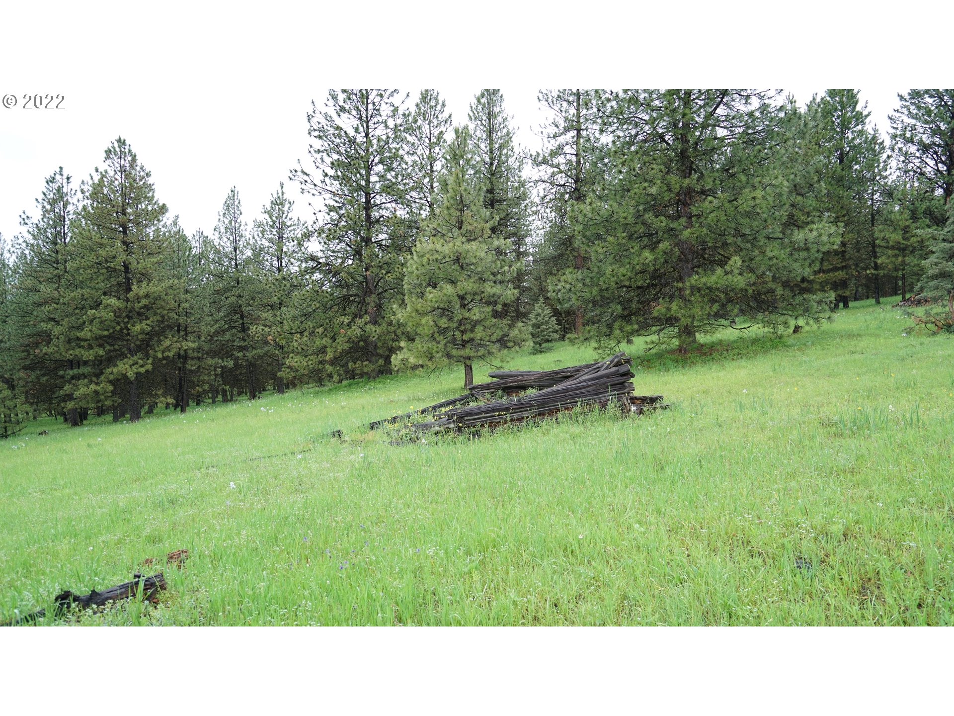 214 Forest Road Bates, OR 97817 - Photo 12 of 31 Gallery Image 12