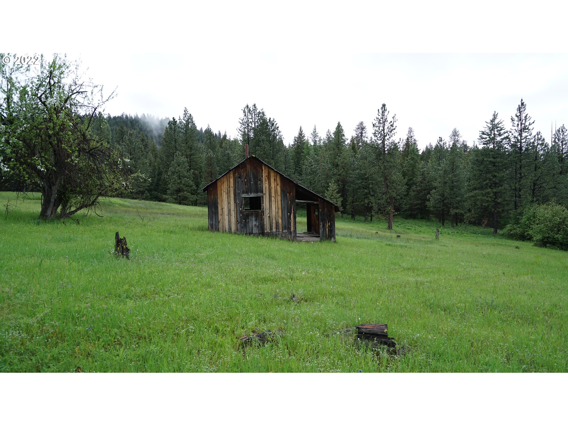 214 Forest Road Bates, OR 97817 - Photo 13 of 31 Gallery Image 13