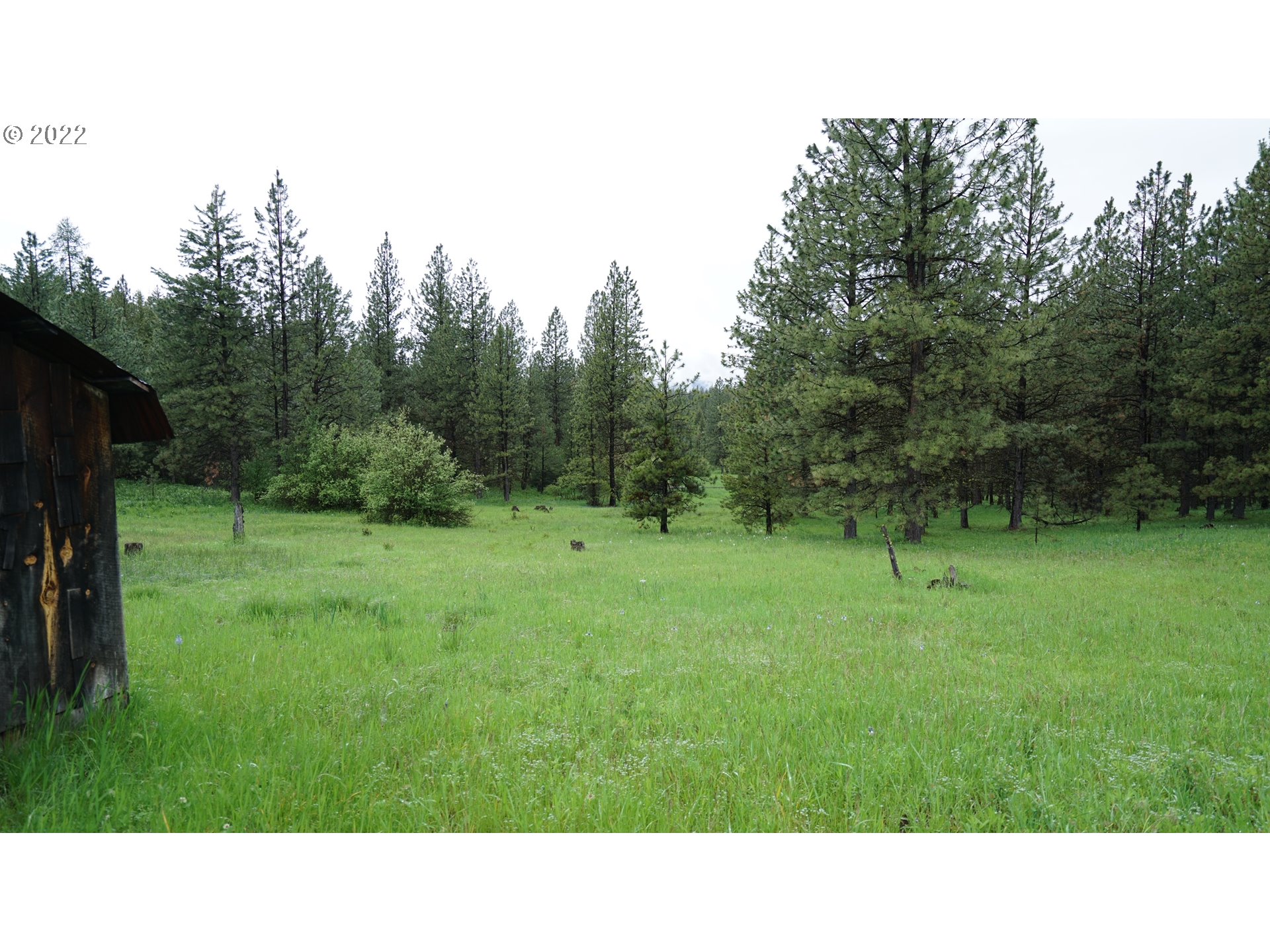 214 Forest Road Bates, OR 97817 - Photo 14 of 31 Gallery Image 14