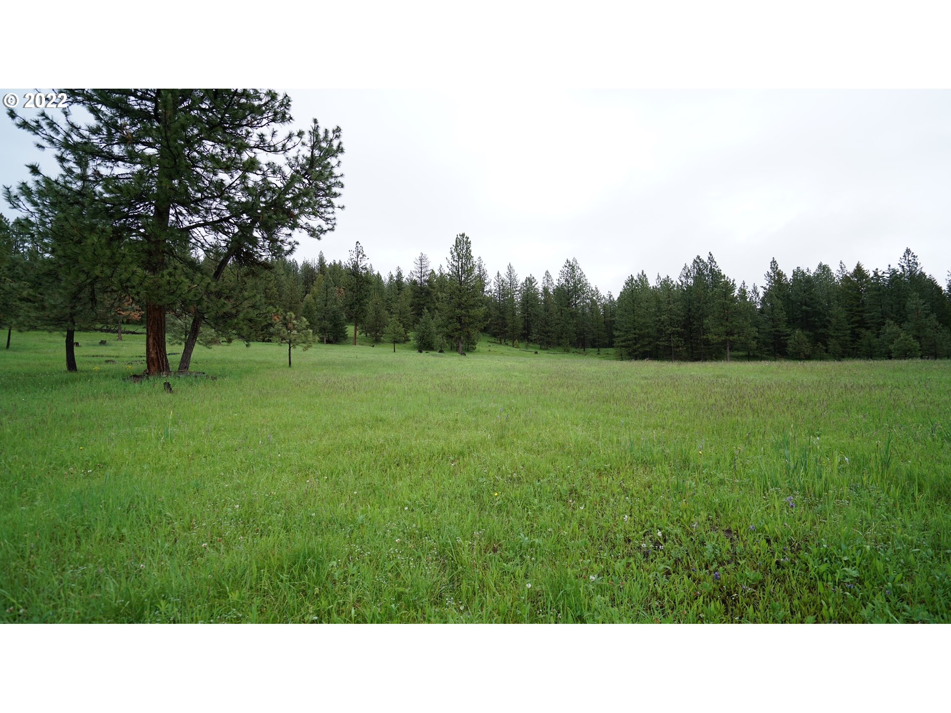 214 Forest Road Bates, OR 97817 - Photo 16 of 31 Gallery Image 16