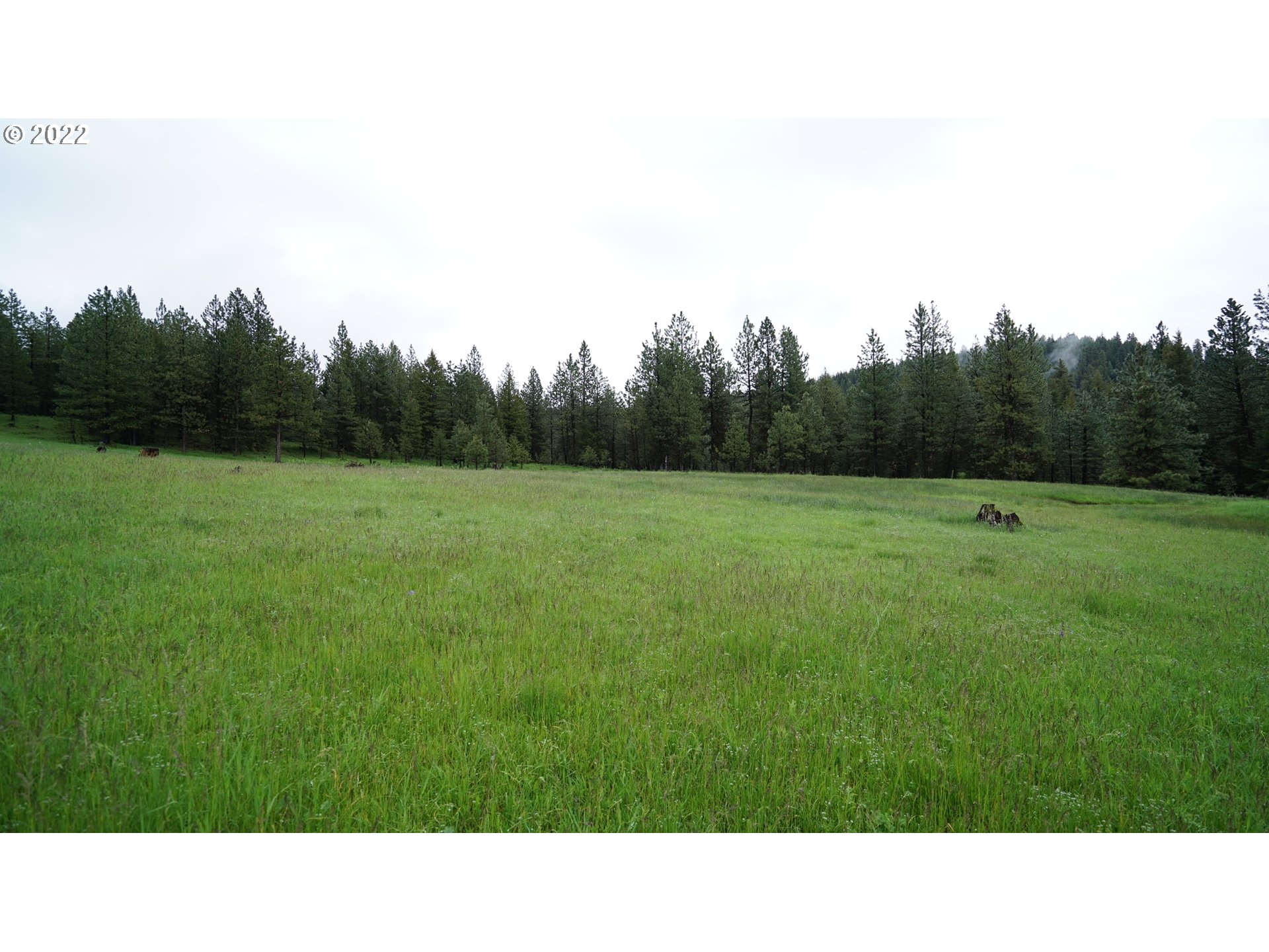 214 Forest Road Bates, OR 97817 - Photo 17 of 31 Gallery Image 17