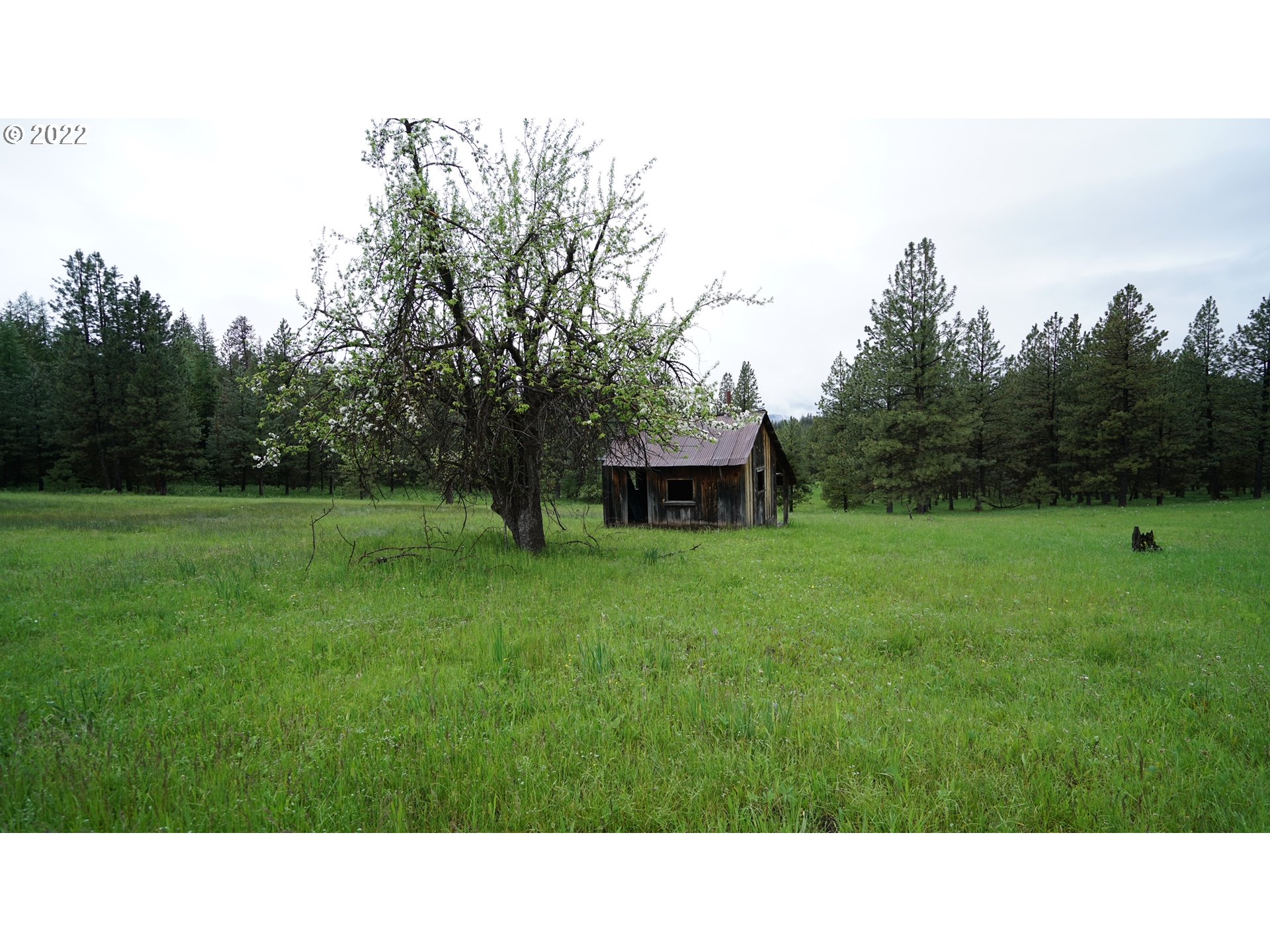 214 Forest Road Bates, OR 97817 - Photo 18 of 31 Gallery Image 18