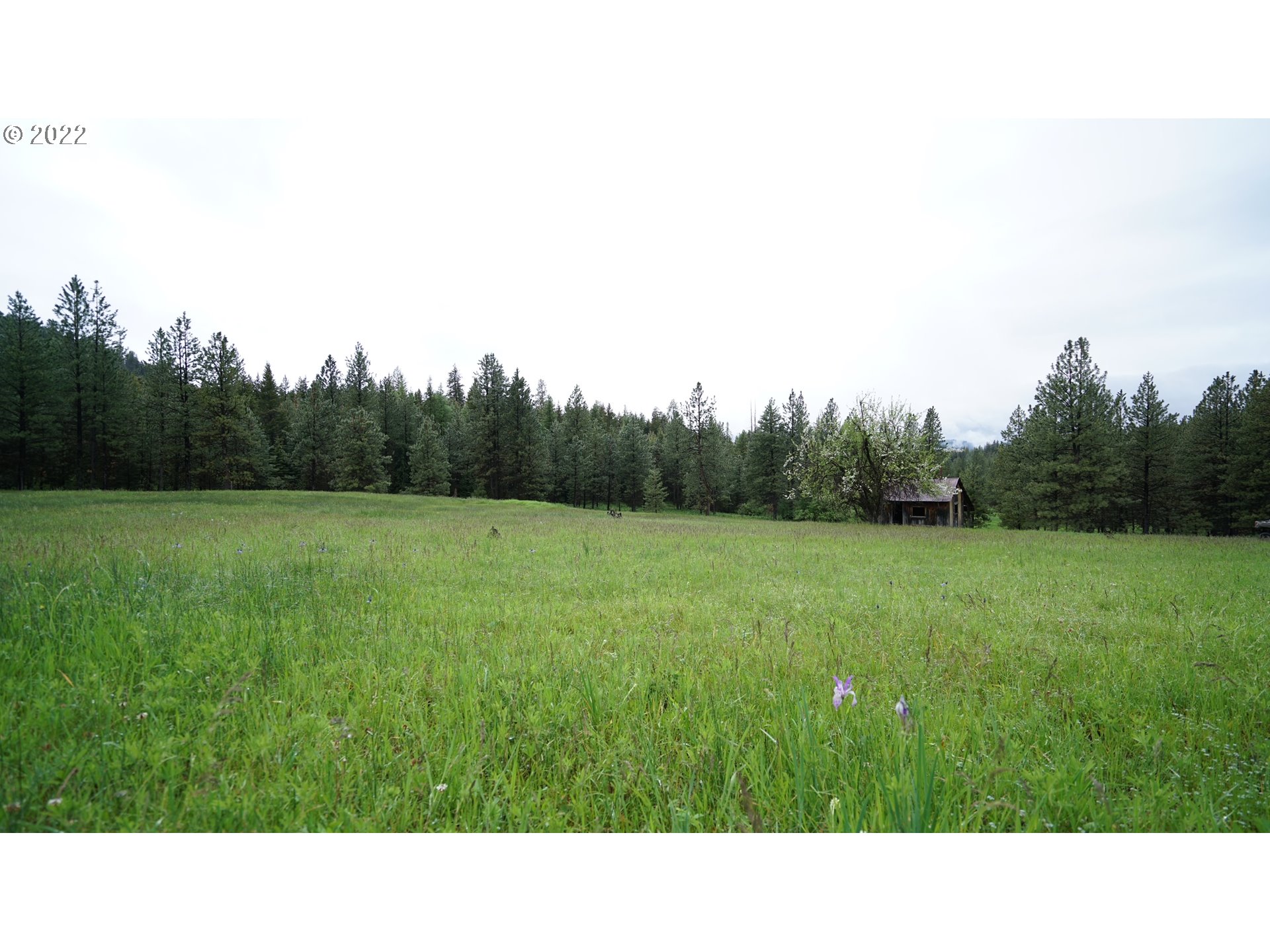 214 Forest Road Bates, OR 97817 - Photo 19 of 31 Gallery Image 19