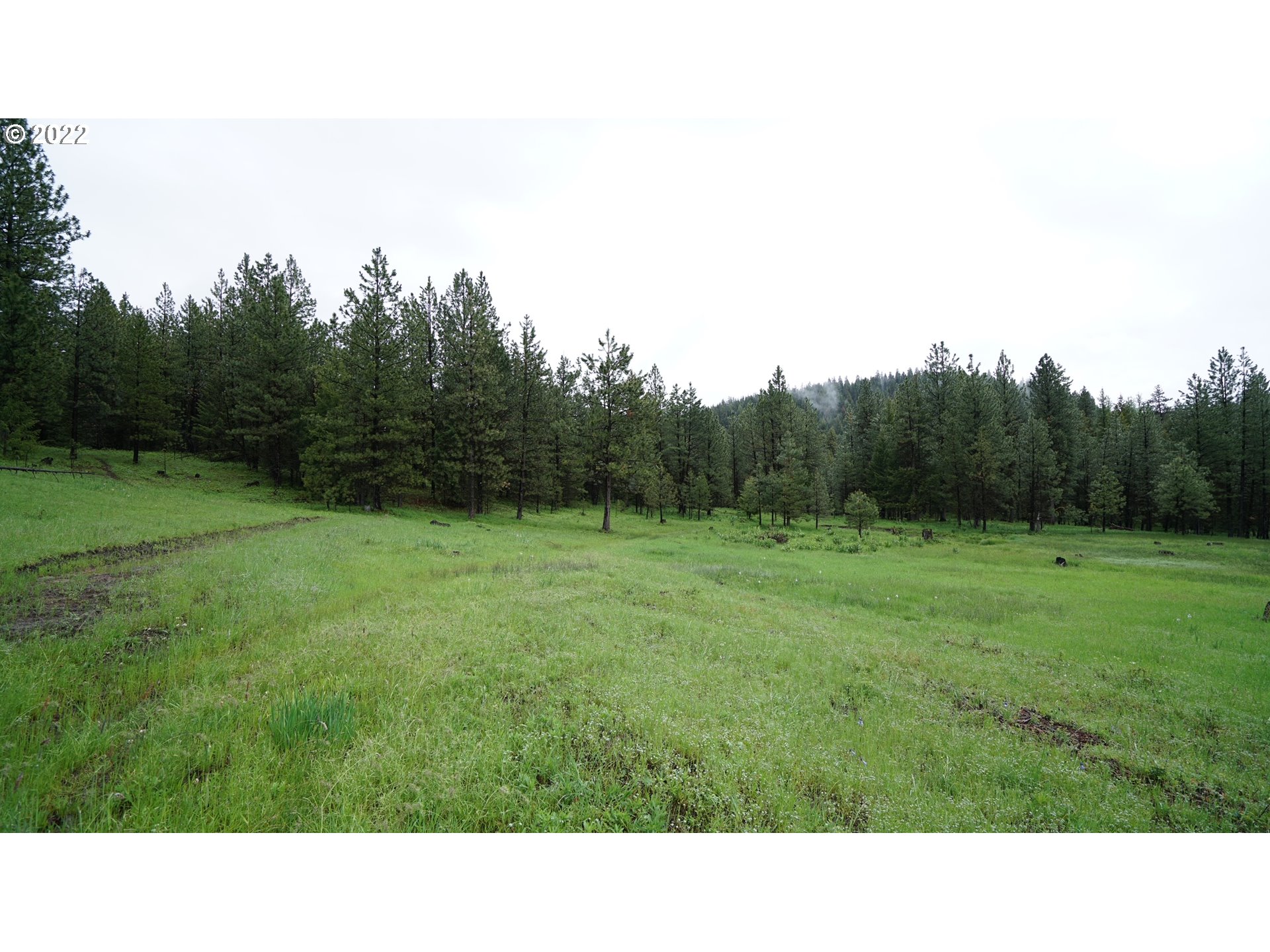 214 Forest Road Bates, OR 97817 - Photo 20 of 31 Gallery Image 20