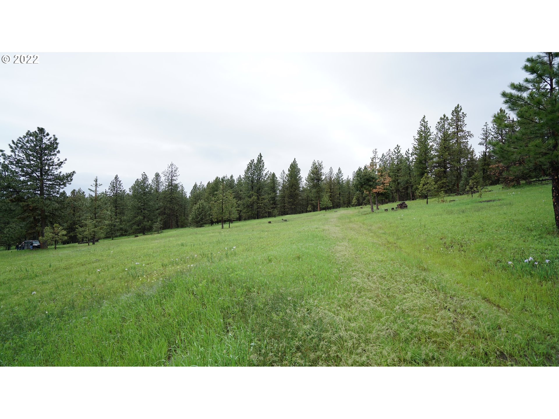 214 Forest Road Bates, OR 97817 - Photo 21 of 31 Gallery Image 21