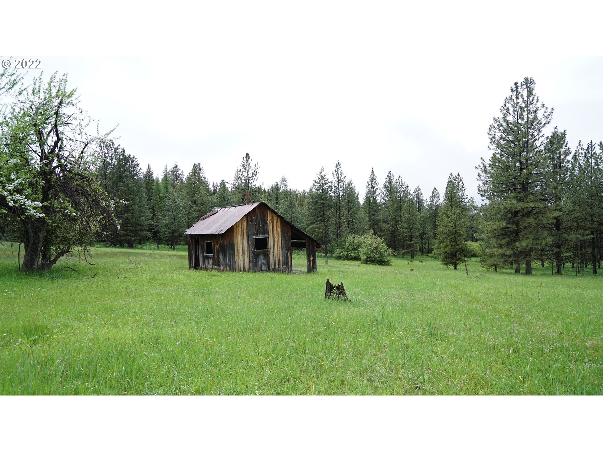 214 Forest Road Bates, OR 97817 - Photo 22 of 31 Gallery Image 22