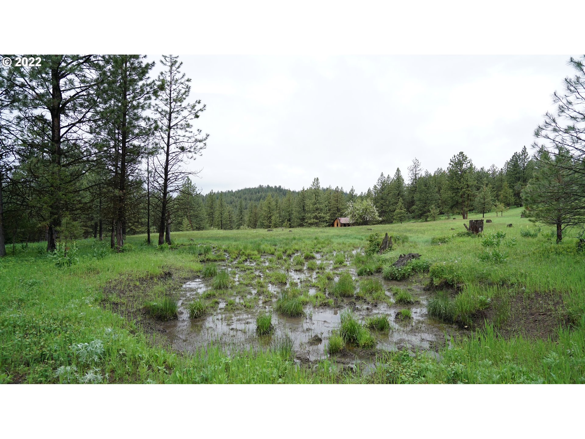 214 Forest Road Bates, OR 97817 - Photo 23 of 31 Gallery Image 23