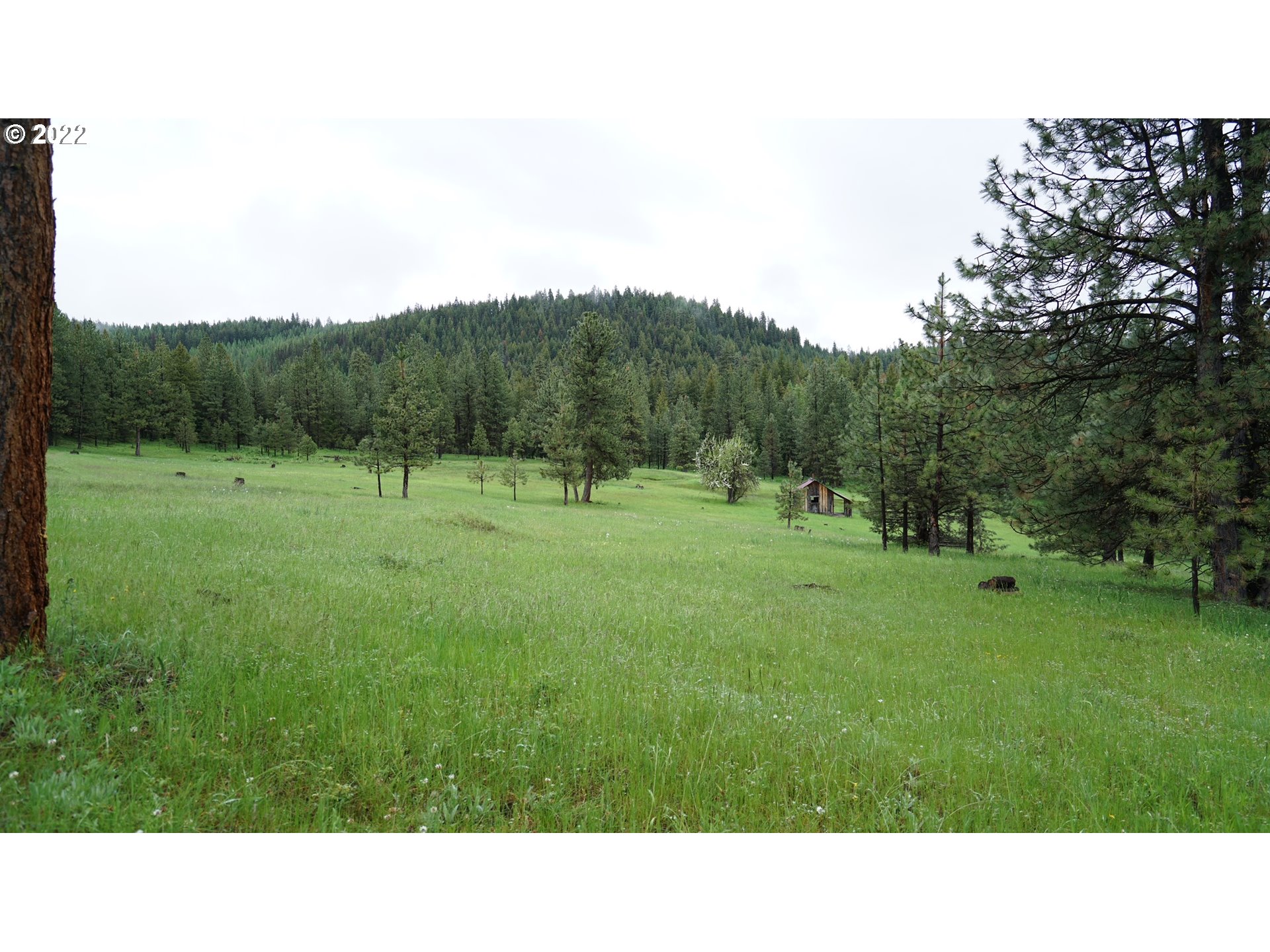 214 Forest Road Bates, OR 97817 - Photo 24 of 31 Gallery Image 24